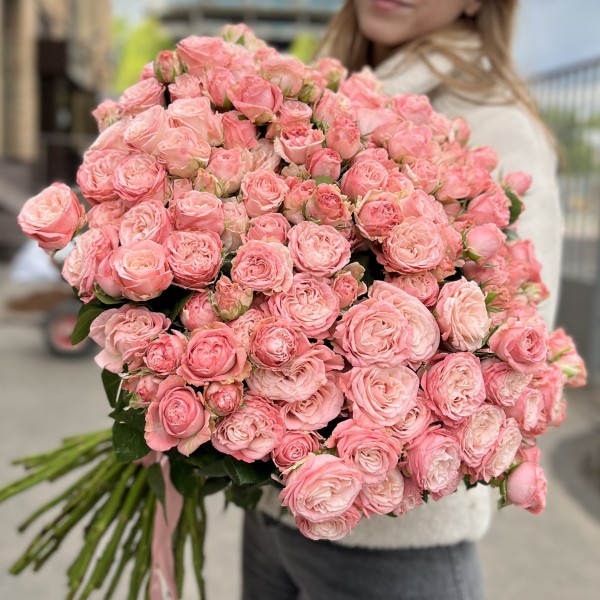 51 кустовая пионовидная роза Мадам Бомбастик 60 см