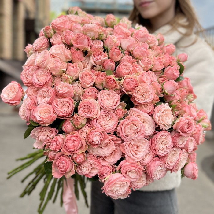 51 кустовая пионовидная роза Мадам Бомбастик 60 см