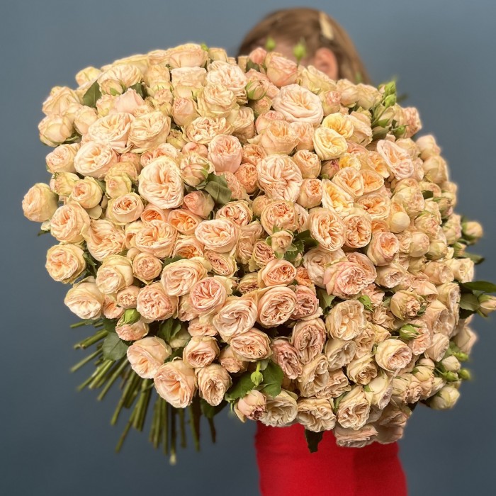 101 кустовая пионовидная Роза Джентл Трендсеттер 60 см