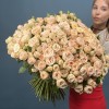 101 кустовая пионовидная Роза Джентл Трендсеттер 50 см