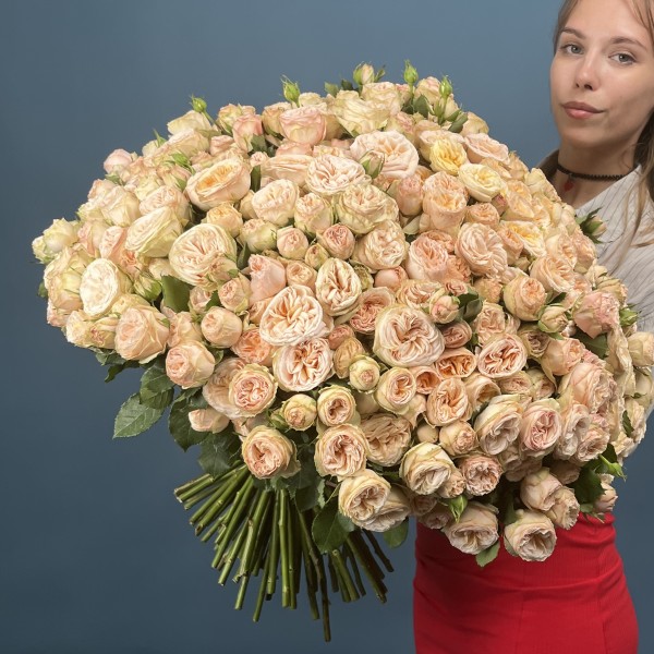 101 кустовая пионовидная Роза Джентл Трендсеттер 60 см