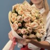 11 кустовых пионовидных роз Джентл трендсеттер 50 см