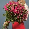 25 кустовых роз Глория 70 см