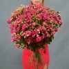 35 кустовых роз Глория 70 см