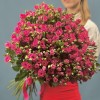 35 кустовых роз Глория 70 см