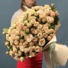 51 кустовая пионовидная роза Джентл трендсеттер 50 см