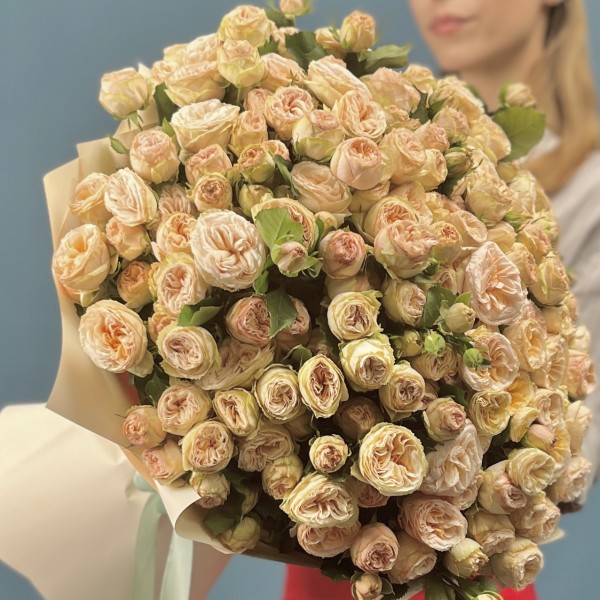 51 кустовая пионовидная роза Джентл трендсеттер 50 см