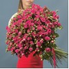 45 кустовых роз Глория 70 см