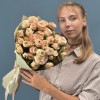 7 кустовыхперсиковых роз Джентл трендсеттер 50 см