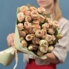 7 кустовыхперсиковых роз Джентл трендсеттер 50 см