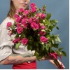 7 кустовых роз Глория 70 см