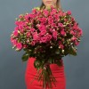 Кустовая Роза Глория 70 см
