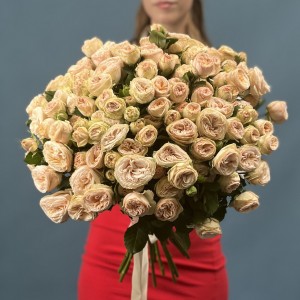 Кустовая пионовидная роза Джентл Трендсеттер 50 см