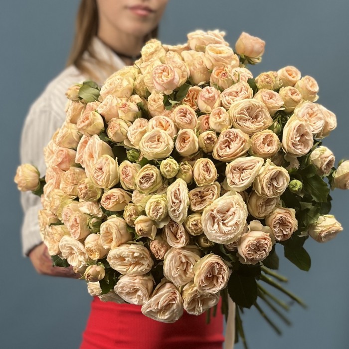 Кустовая пионовидная роза Джентл Трендсеттер 60 см