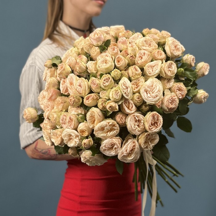 Кустовая пионовидная роза Джентл Трендсеттер 60 см