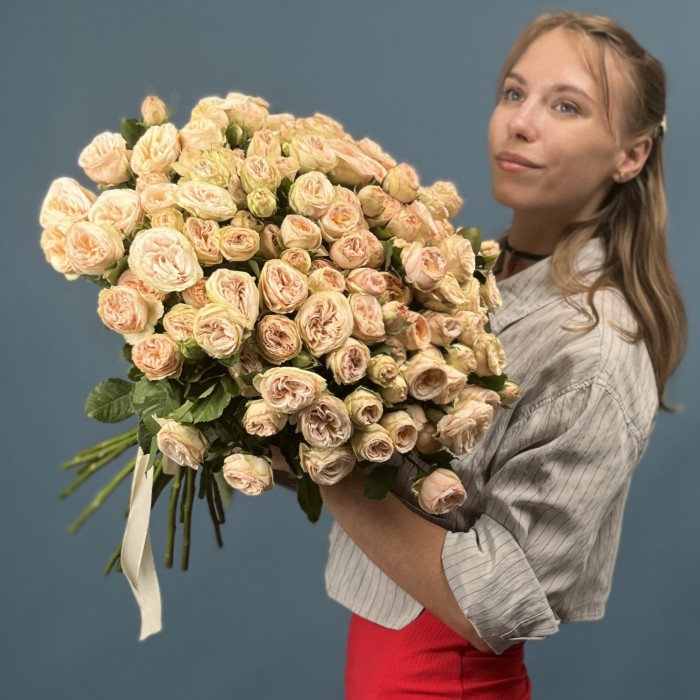 Кустовая пионовидная роза Джентл Трендсеттер 60 см