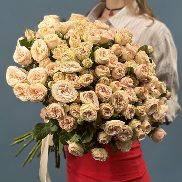 Кустовая пионовидная роза Джентл Трендсеттер 60 см