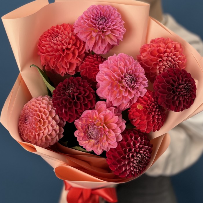 11 георгинов огненный MIX