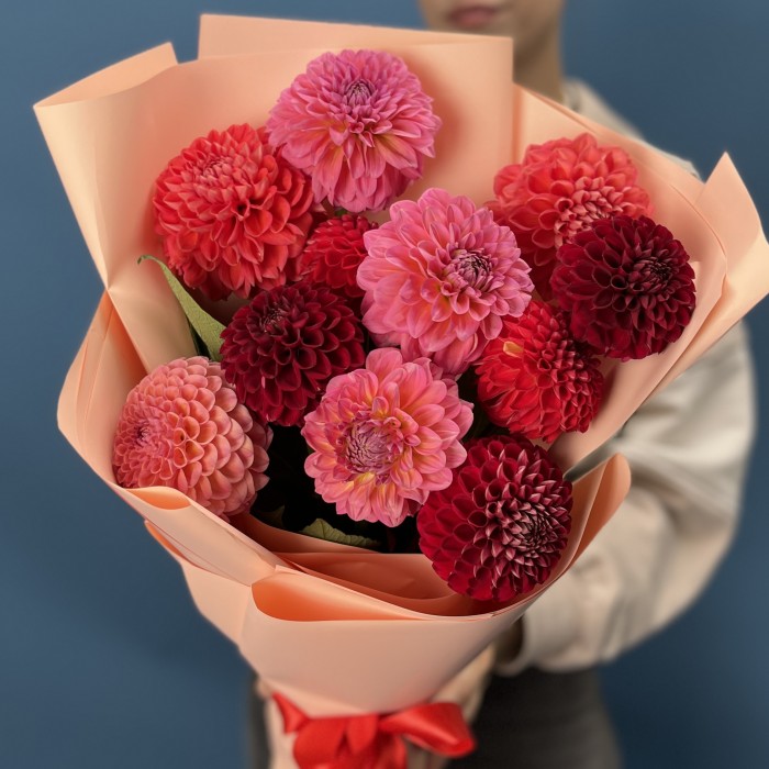 11 георгинов огненный MIX