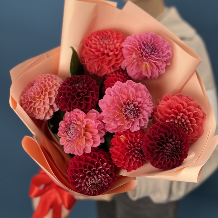 11 георгинов огненный MIX