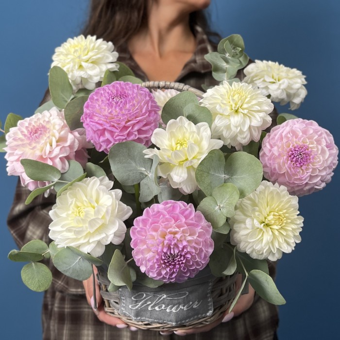 11 нежных георгин в корзине