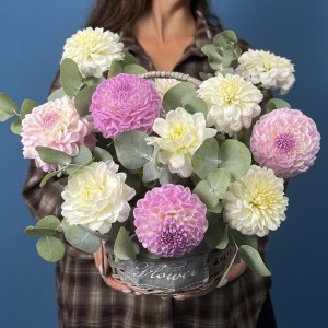 11 нежных георгин в корзине