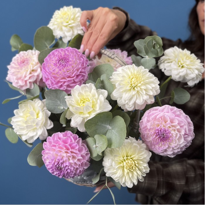 11 нежных георгин в корзине