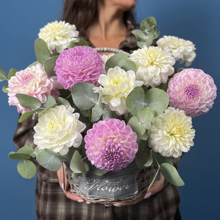 11 нежных георгин в корзине