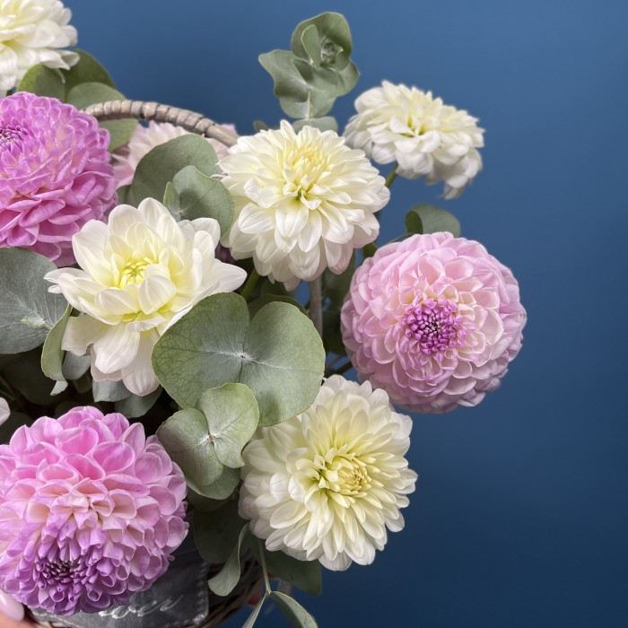 11 нежных георгин в корзине