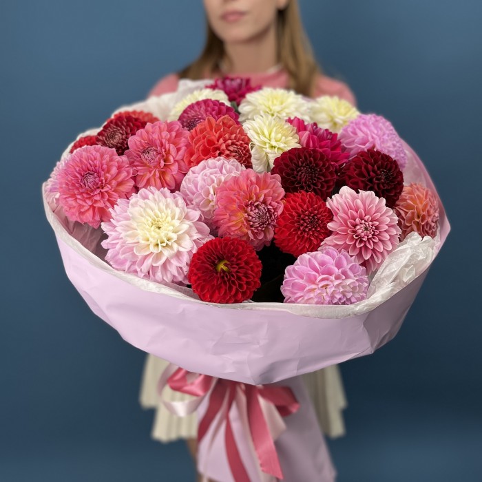 25 ярких георгин MIX