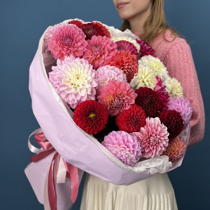 25 ярких георгин MIX