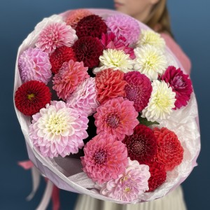 25 ярких георгин MIX