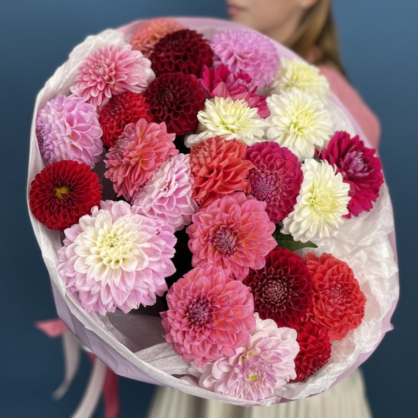 25 ярких георгин MIX