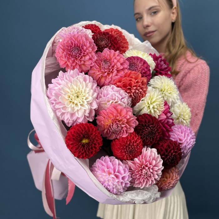 25 ярких георгин MIX