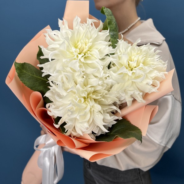 3 белые пышные георгины