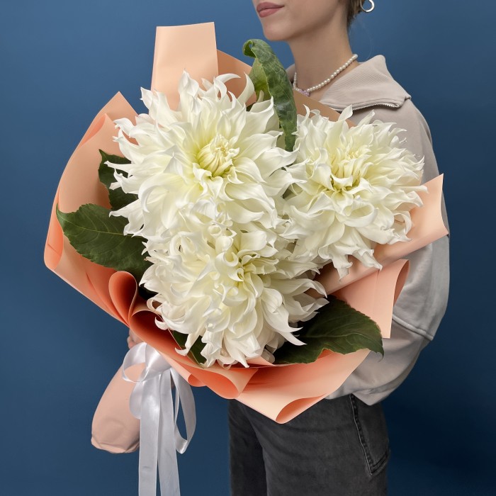 3 белые пышные георгины