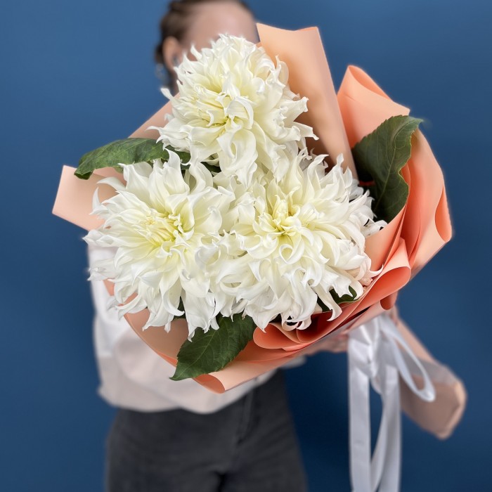 3 белые пышные георгины