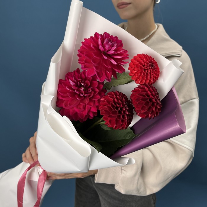 5 ярких красных и малиновых георгин