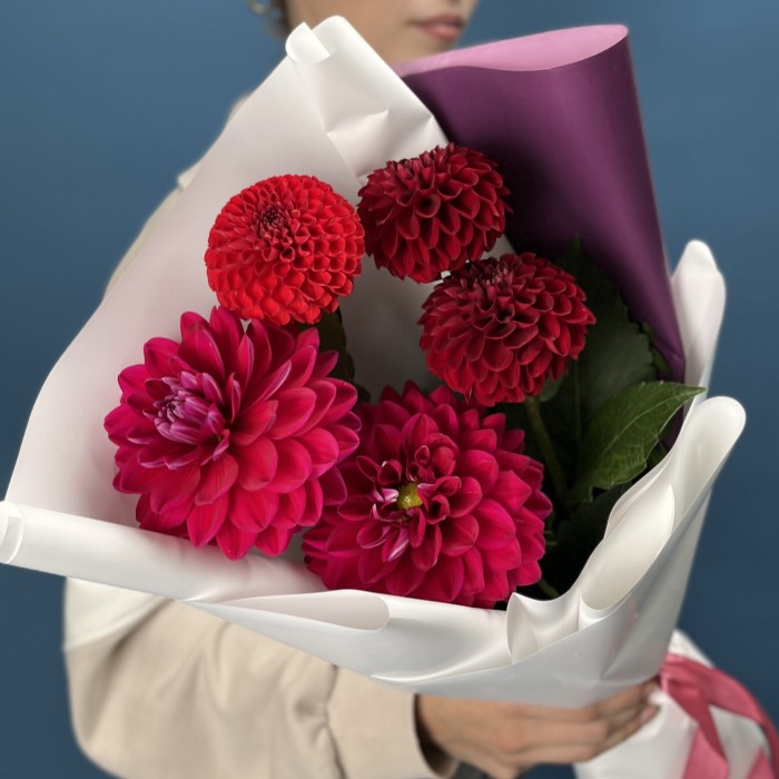 5 ярких красных и малиновых георгин