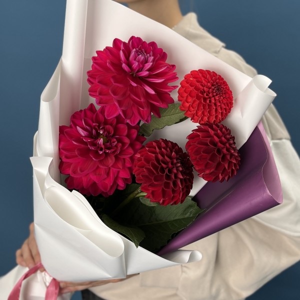 5 ярких красных и малиновых георгин