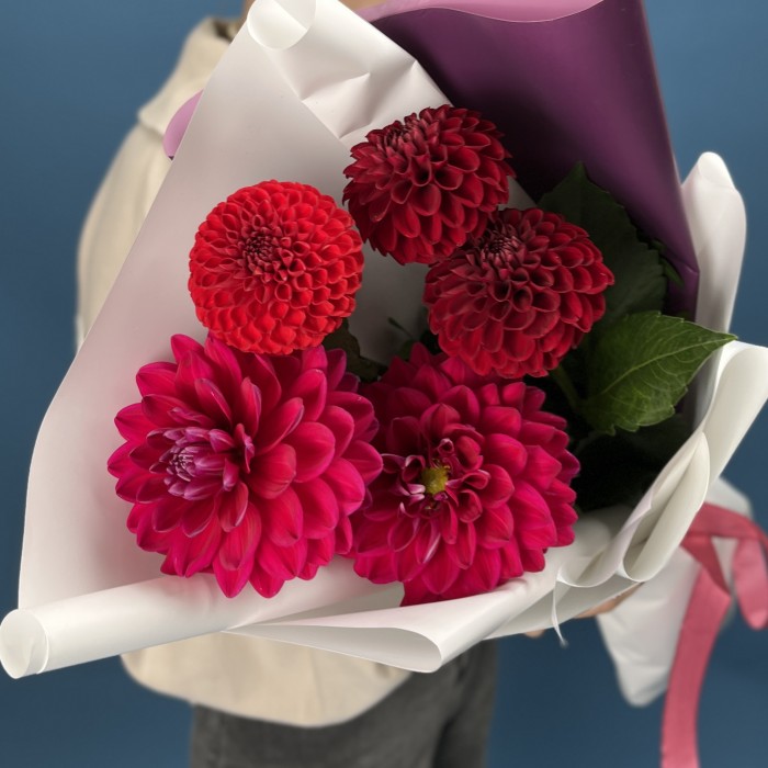 5 ярких красных и малиновых георгин