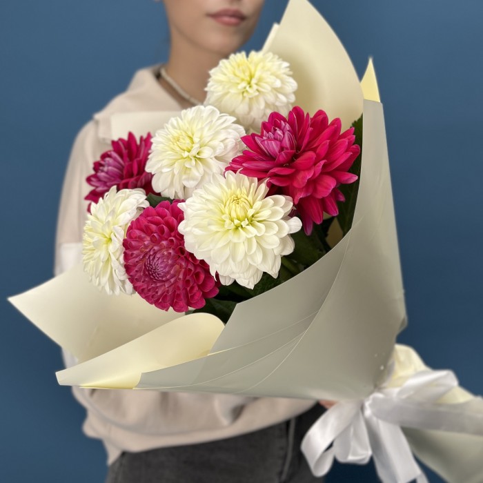 7 белых и малиновых георгин