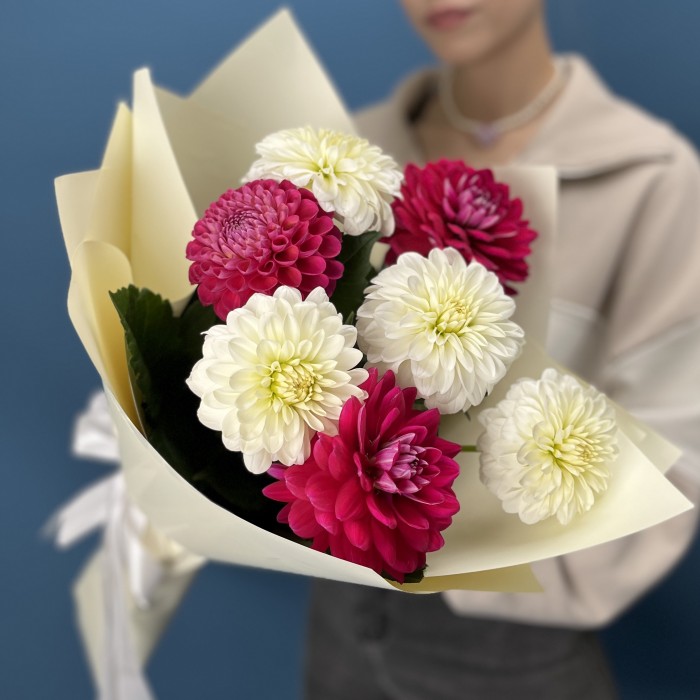 7 белых и малиновых георгин