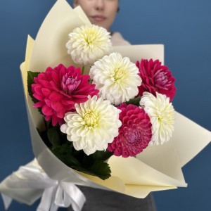 7 белых и малиновых георгин