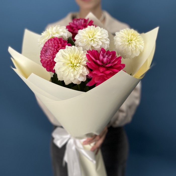 7 белых и малиновых георгин