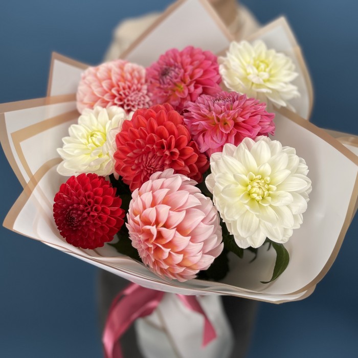 9 георгинов MIX