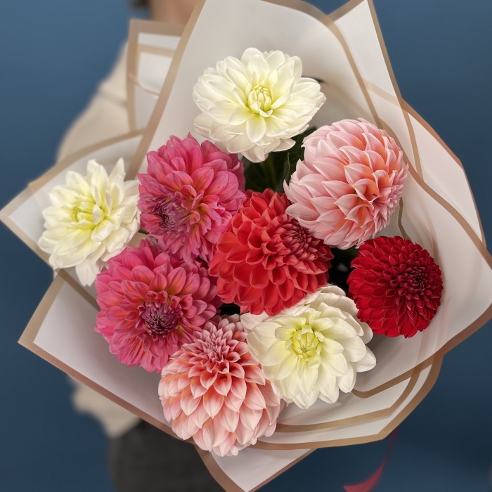 9 георгинов MIX