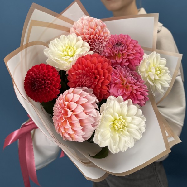 9 георгинов MIX