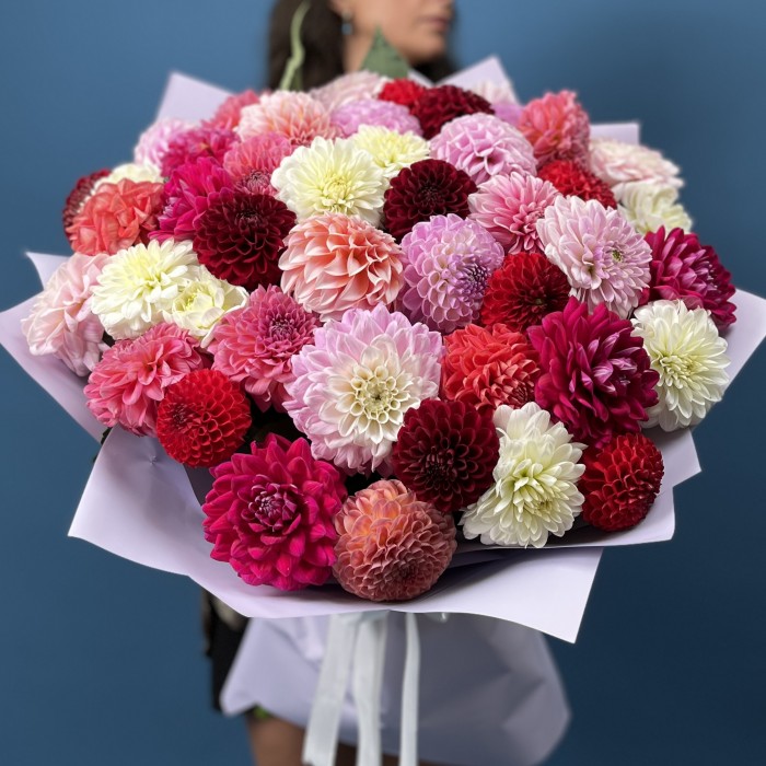 Пышный букет из 51 георгины MIX