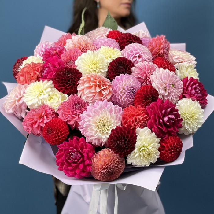 Пышный букет из 51 георгины MIX